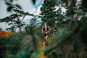 BIB: 
                            <button type="button" onclick="openModal(25258313)" class="btn btn-primary btn-sm float-right btn-popup" data-toggle="modal" data-target=".modal-high-quality">
                        <i class="fas fa-shopping-cart"></i> Add to Cart
                    </button>
                                            <button type="button" onclick="isThisMe(25258313, true)" class="btn btn-success btn-sm float-right btn-popup btn-isme hidden" data-toggle="tooltip" data-placement="bottom" title="นี่คือรูปของคุณใช่ไหม คลิกที่นี่เพื่อเอาเข้าอัลบั้ม">
                        <i class="fas fa-plus"></i> Add to album
                    </button>
                    <button type="button" onclick="isThisMe(25258313, false)" class="btn btn-warning btn-sm float-right btn-popup btn-isnotme hidden">
                        <i class="fas fa-ban"></i> Remove from album
                    </button>